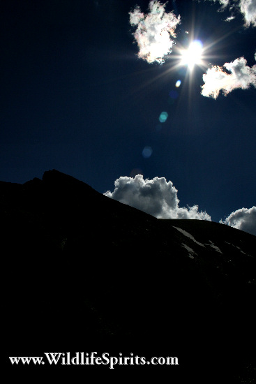 Click Picture to send as an  E-PostCard 62k 367x550